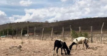Governo decreta situação de emergência em Chorrochó e mais quatro cidades baianas