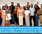 PRIMEIRA REUNIÃO DO COMITÊ DE GESTÃO COLEGIADA DA REDE DE CUIDADO DE PROTEÇÃO SOCIAL DE CRIANÇAS E ADOLESCENTES VÍTIMAS OU TESTEMUNHAS DA VIOLÊNCIA