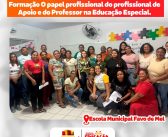 FORMAÇÃO DO PROFISSIONAL DE APOIO E DO PROFESSOR NA EDUCAÇÃO ESPECIAL